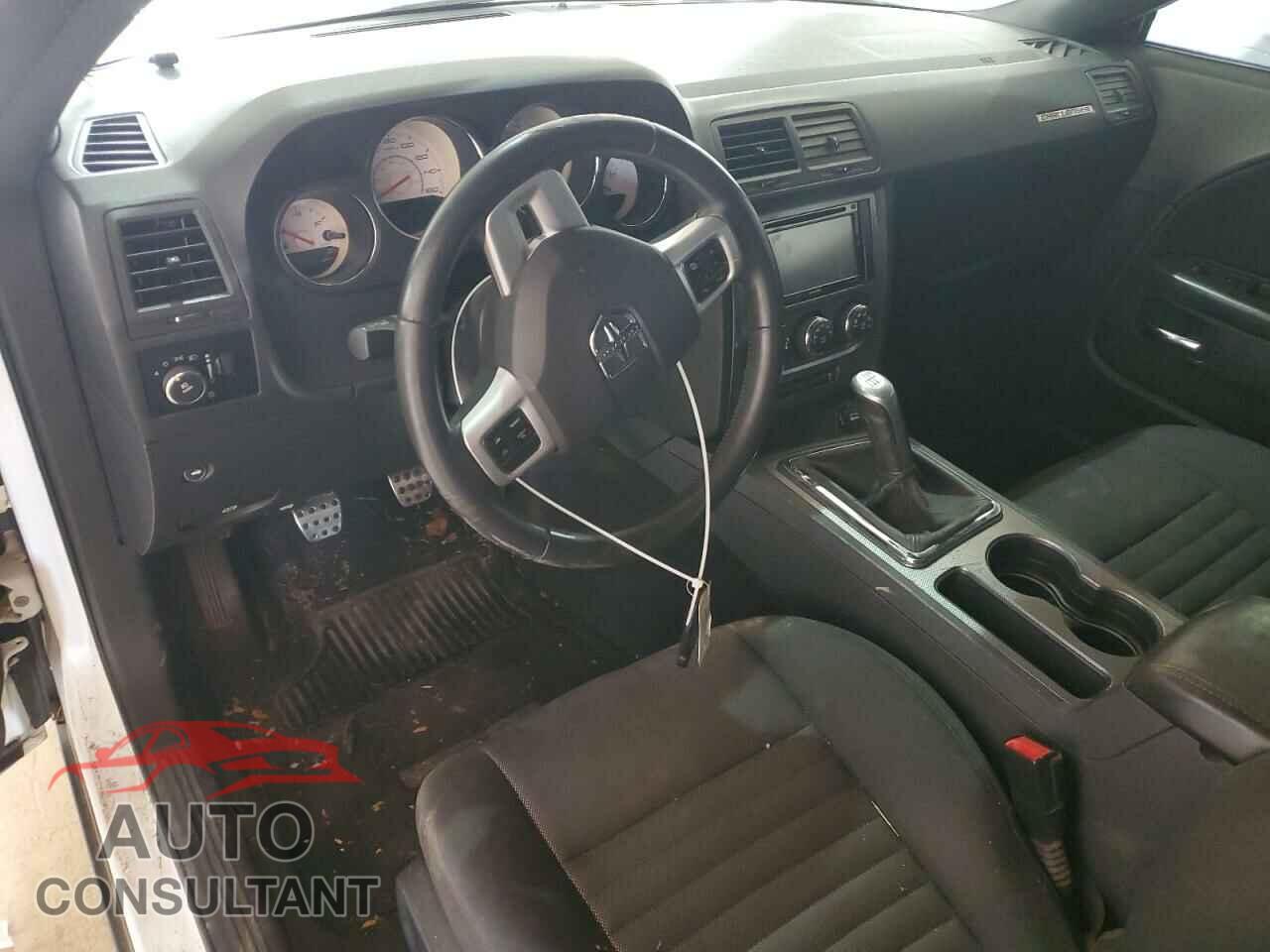 DODGE CHALLENGER 2013 - 2C3CDYBT3DH667917