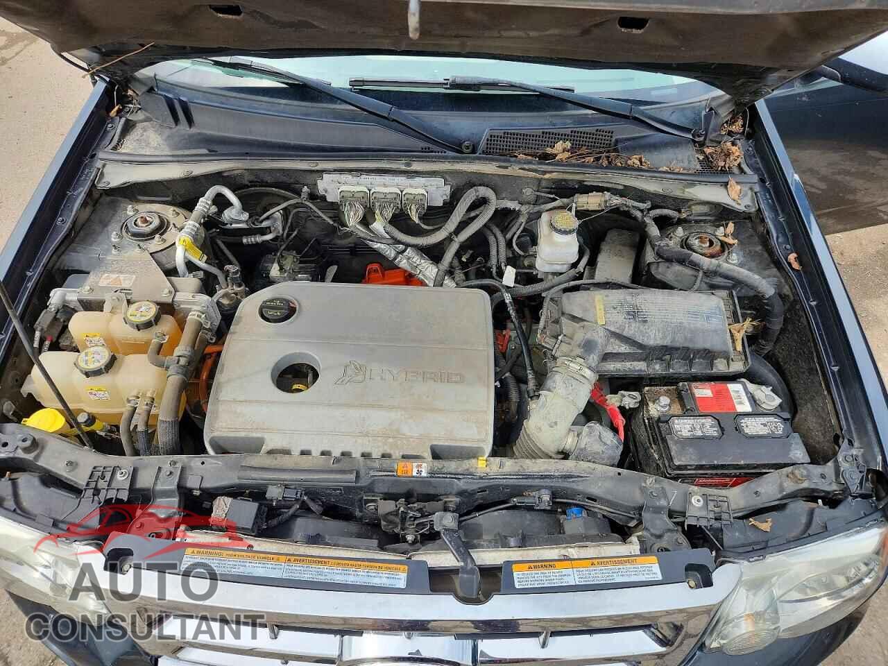 FORD ESCAPE 2010 - 1FMCU4K3XAKB02665
