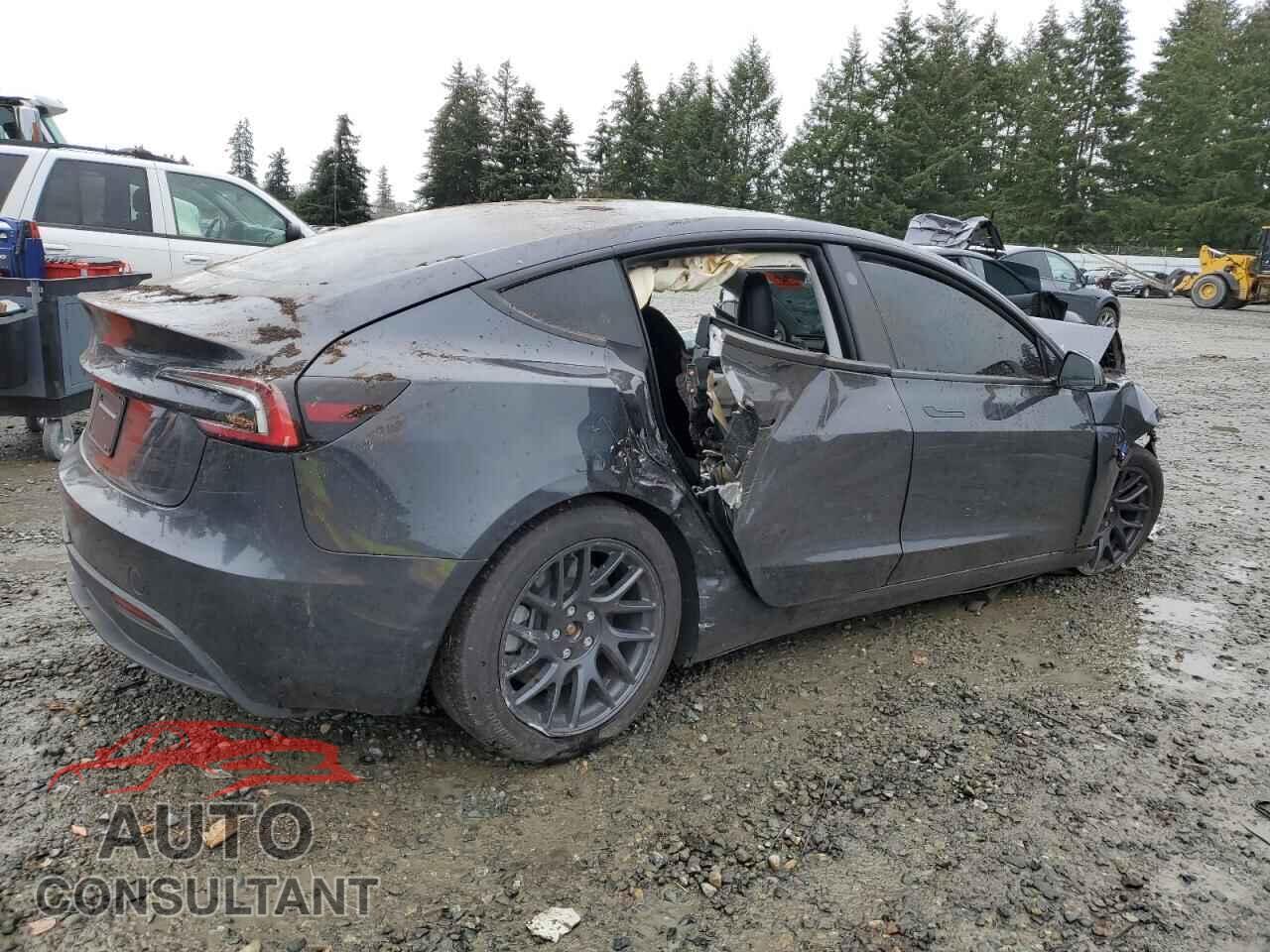 TESLA MODEL 3 2024 - 5YJ3E1EA9RF716917