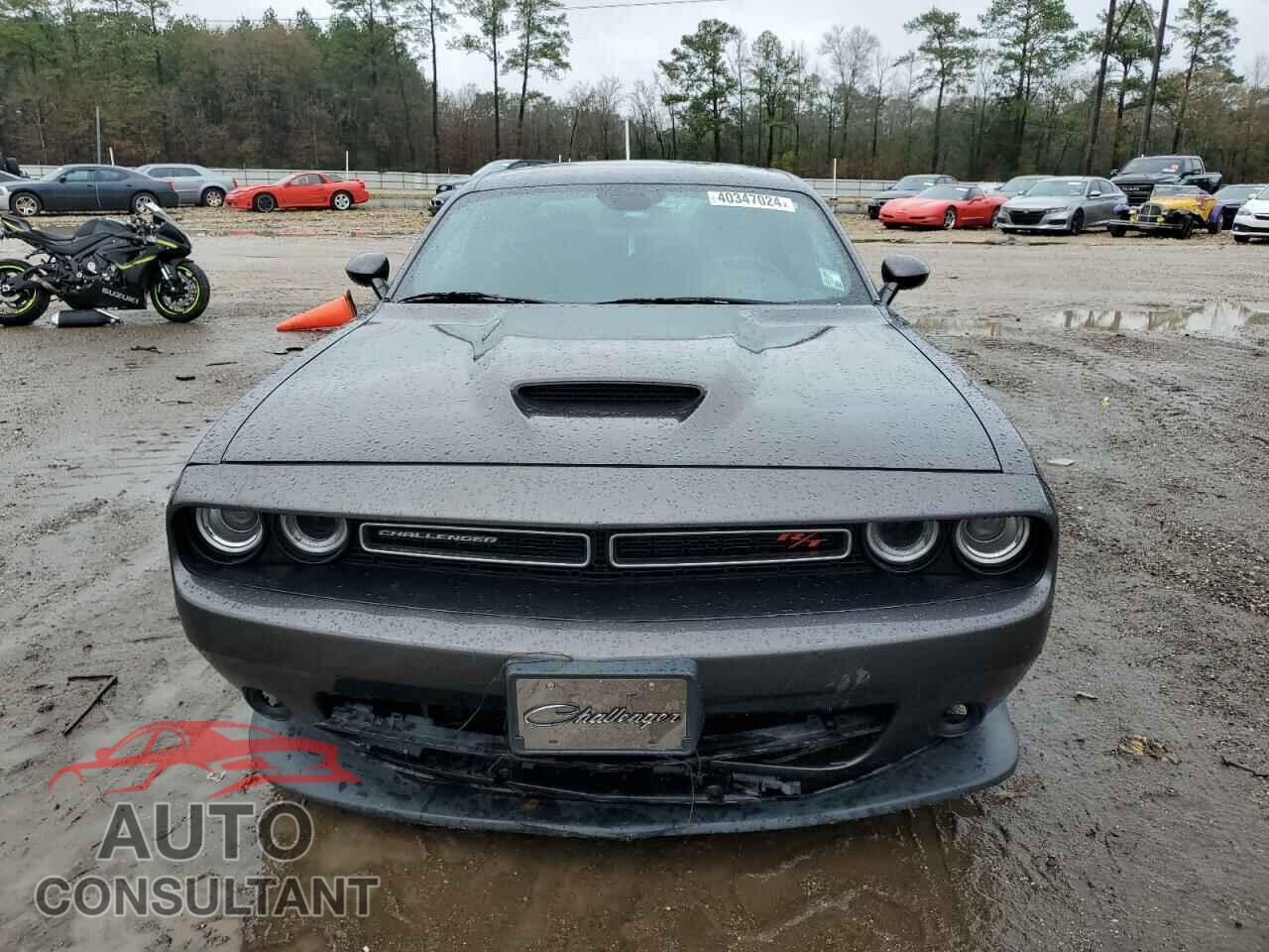 DODGE CHALLENGER 2021 - 2C3CDZBT7MH546619