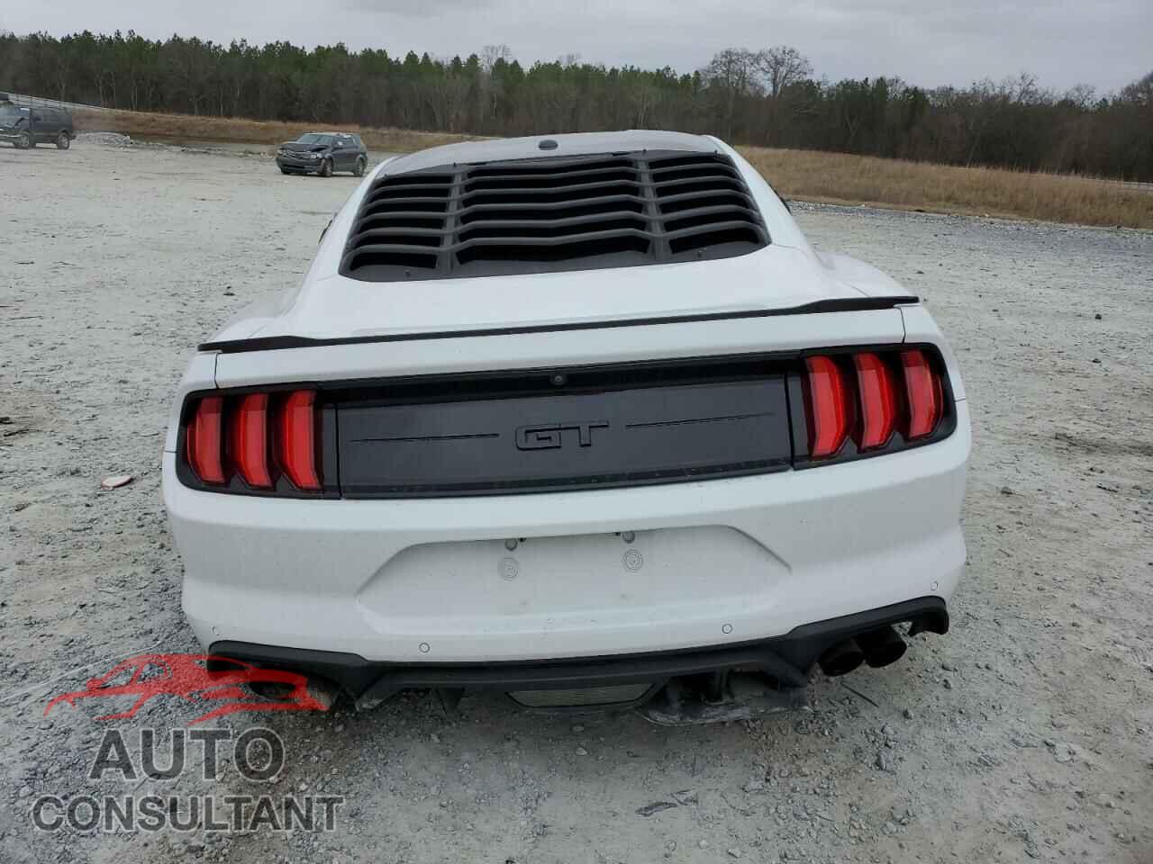 FORD MUSTANG 2019 - 1FA6P8CFXK5119495