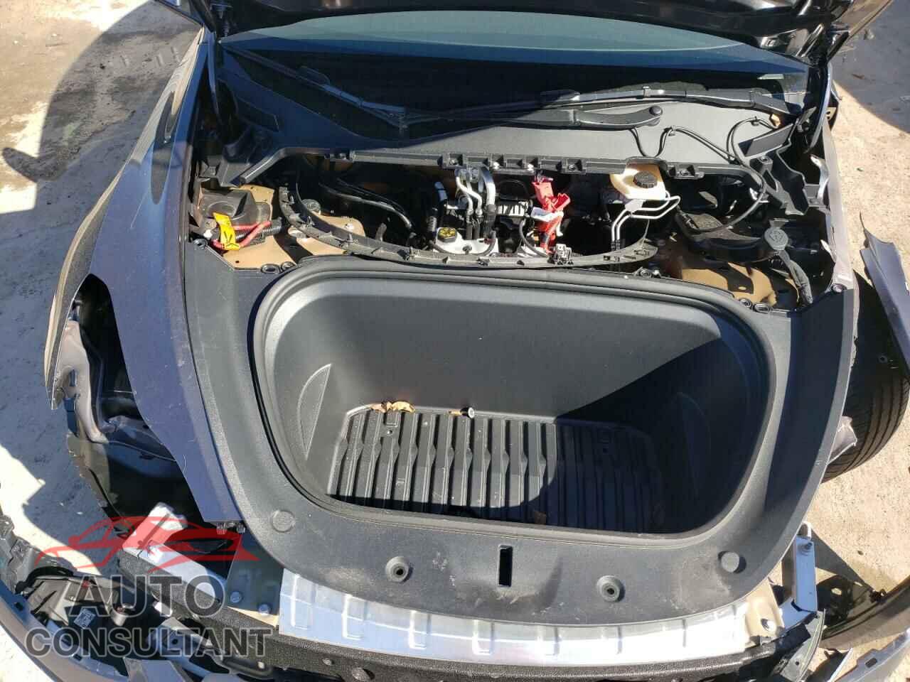 TESLA MODEL Y 2023 - 7SAYGAEE8PF840583