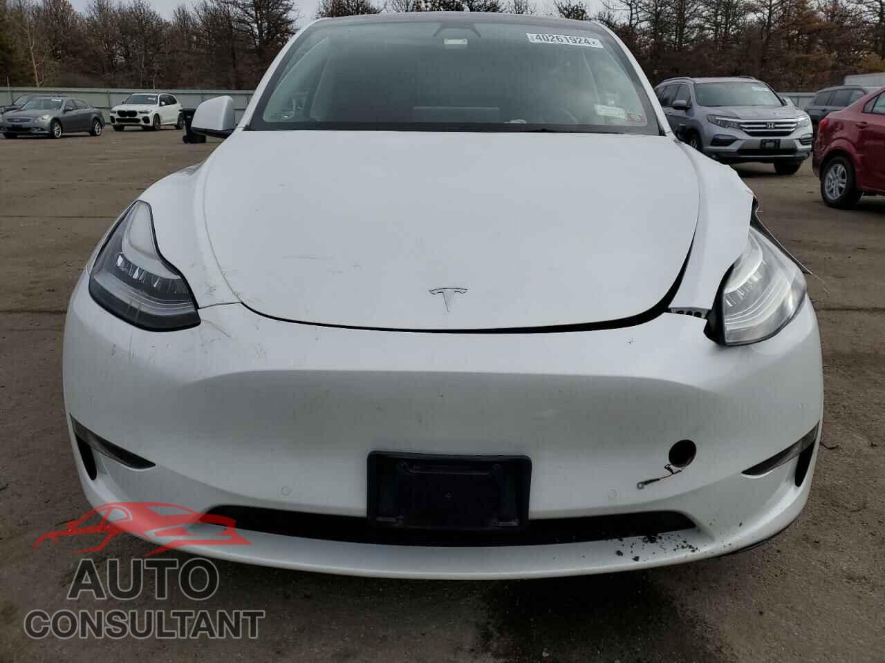 TESLA MODEL Y 2022 - 7SAYGAEE1NF377926