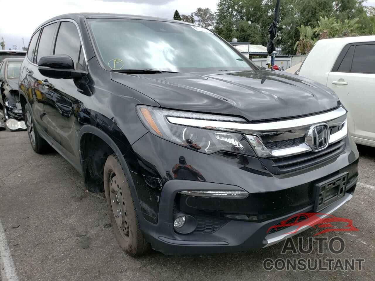 HONDA PILOT 2019 - 5FNYF6H51KB055579