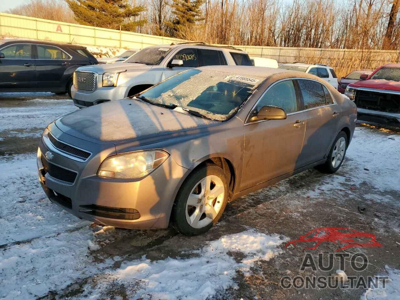 CHEVROLET MALIBU 2012 - 1G1ZA5EU5CF170278