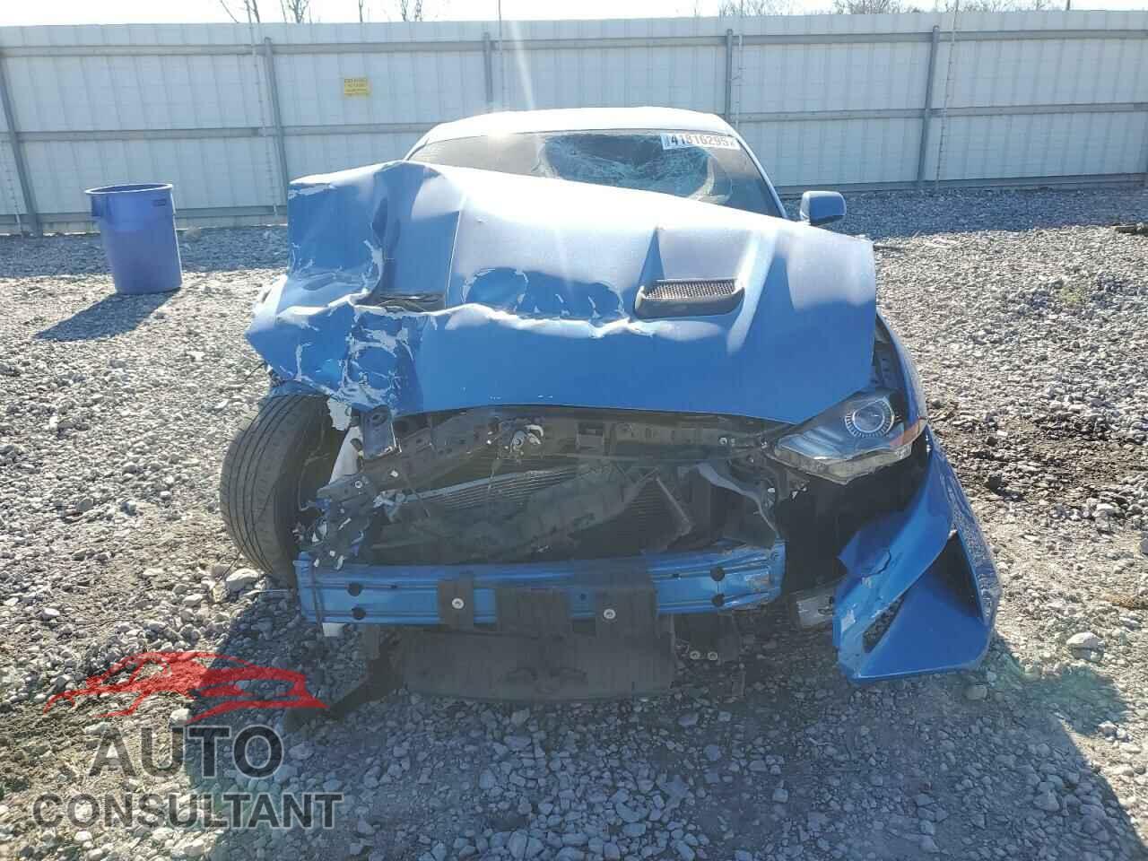 FORD MUSTANG 2019 - 1FA6P8CF1K5202068