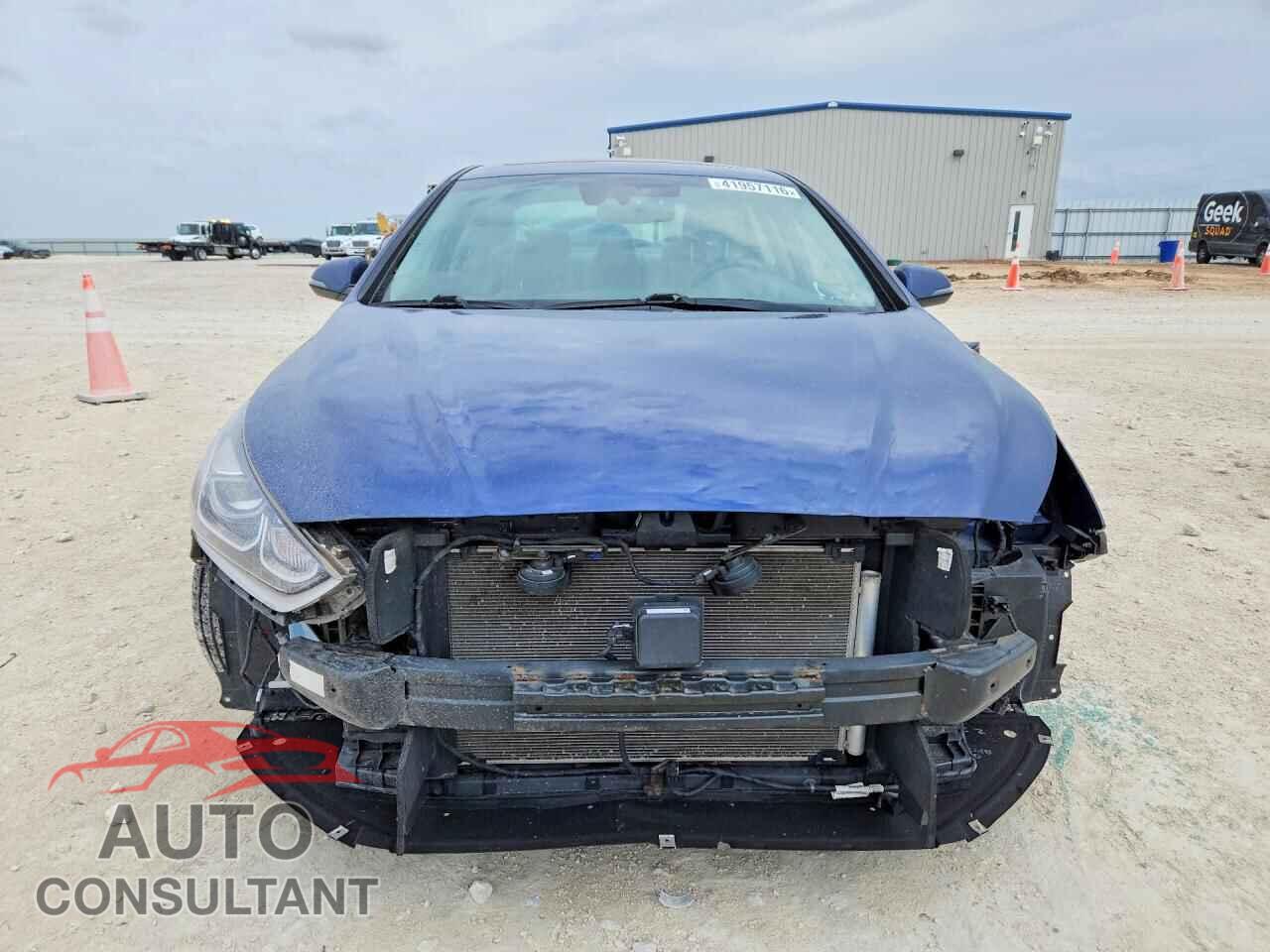 HYUNDAI SONATA 2019 - 5NPE34AF1KH782824