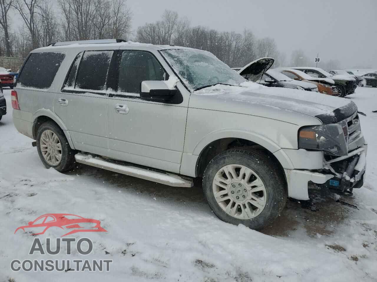 FORD EXPEDITION 2014 - 1FMJU2A58EEF20452