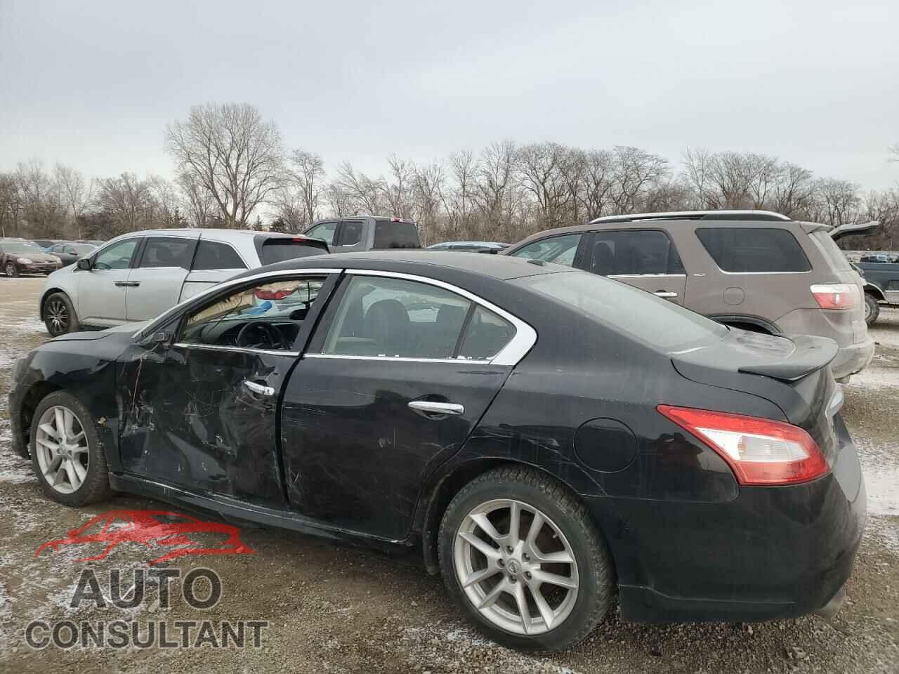 NISSAN MAXIMA 2011 - 1N4AA5AP0BC864466