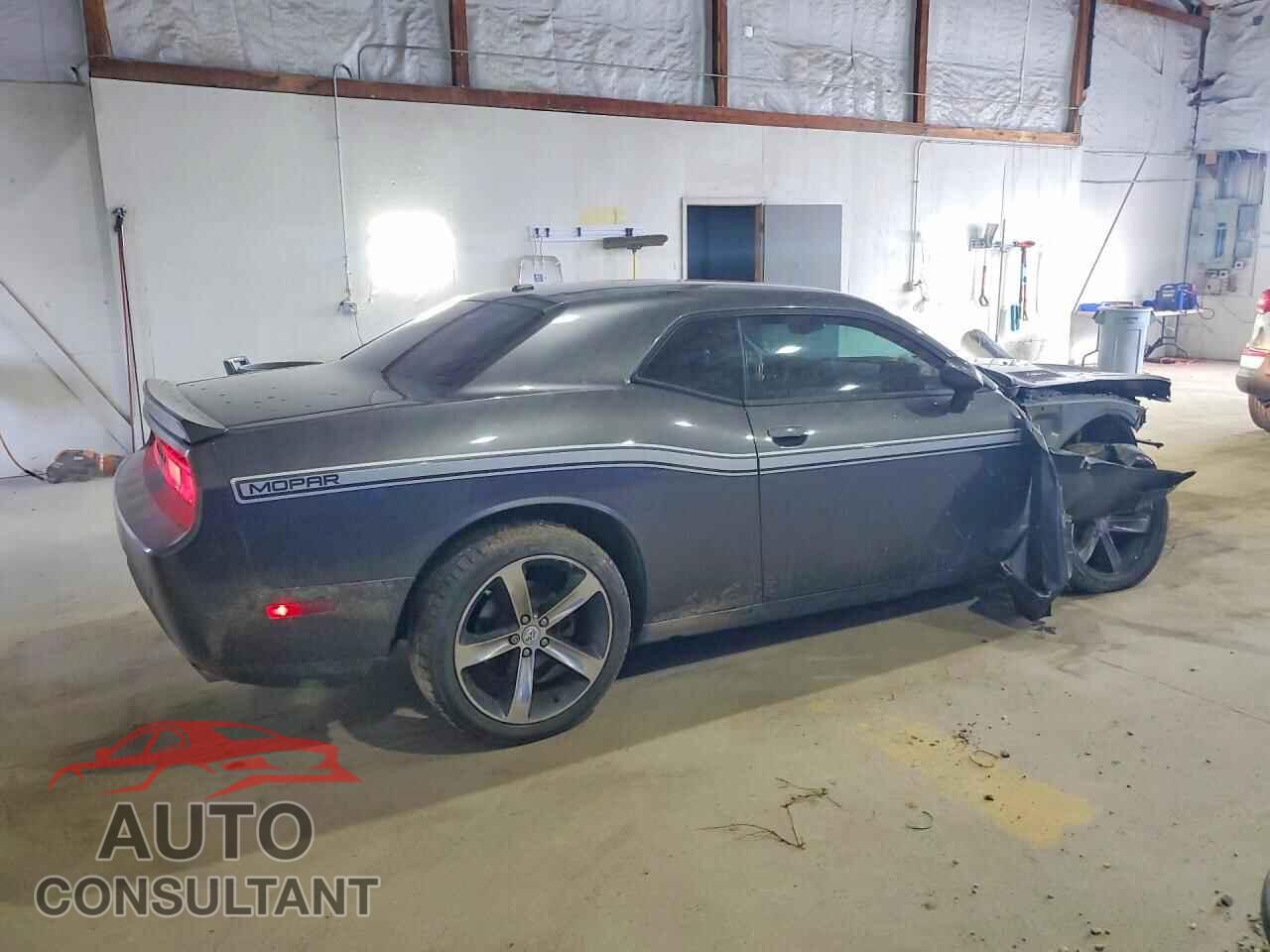 DODGE CHALLENGER 2014 - 2C3CDYAG1EH247515