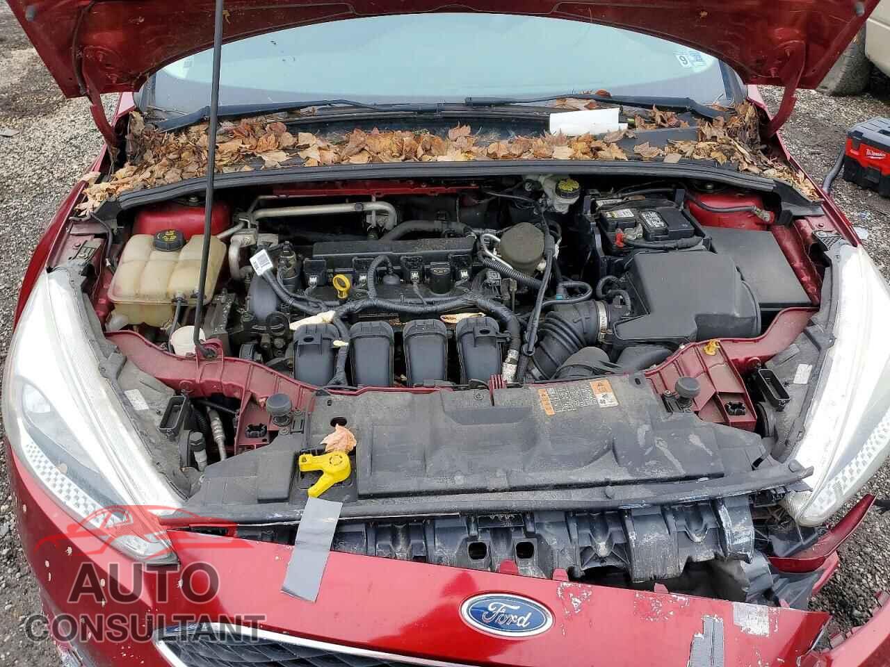 FORD FOCUS 2016 - 1FADP3K28GL243552