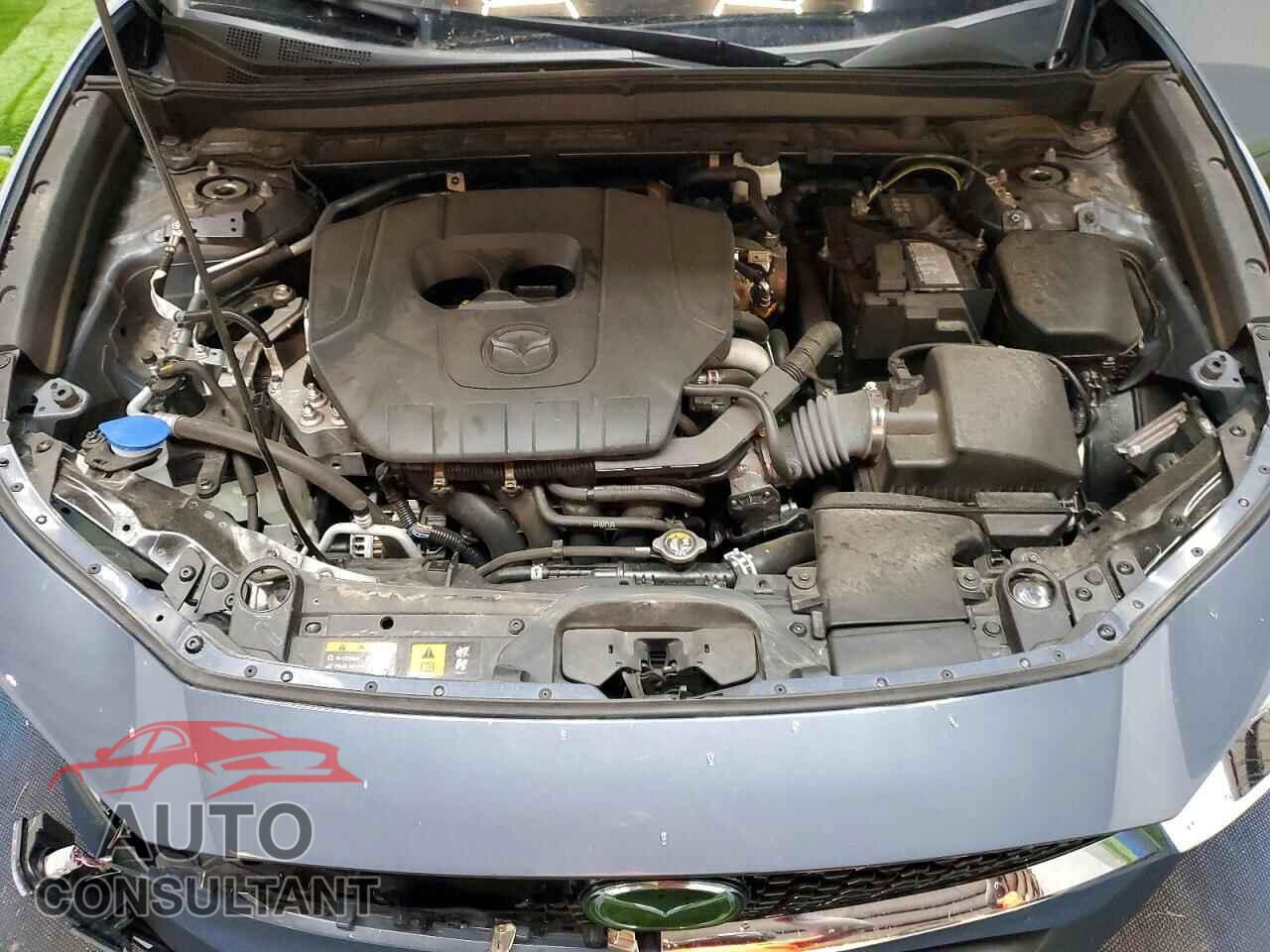 MAZDA CX30 2025 - 3MVDMBCM7SM800826
