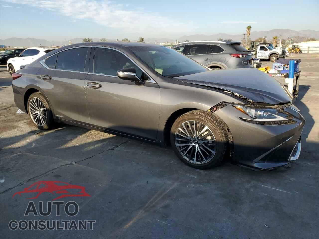 LEXUS ES300 2022 - 58ADA1C10NU014400