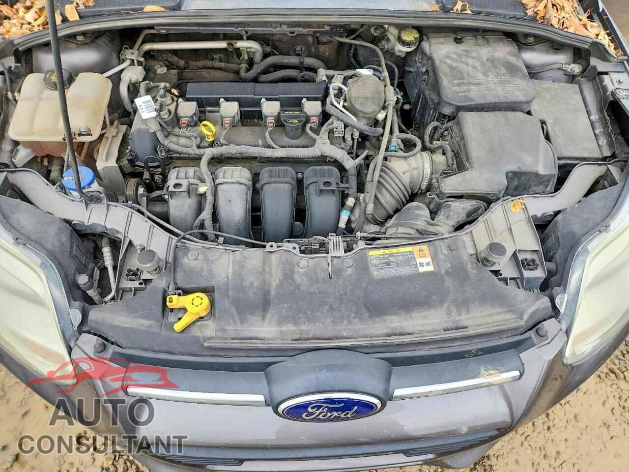 FORD FOCUS 2014 - 1FADP3K26EL208988