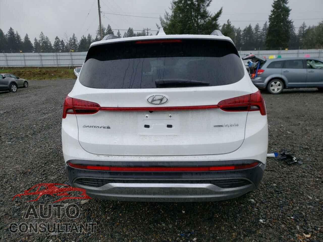 HYUNDAI SANTA FE 2023 - 5NMS3DA19PH022698