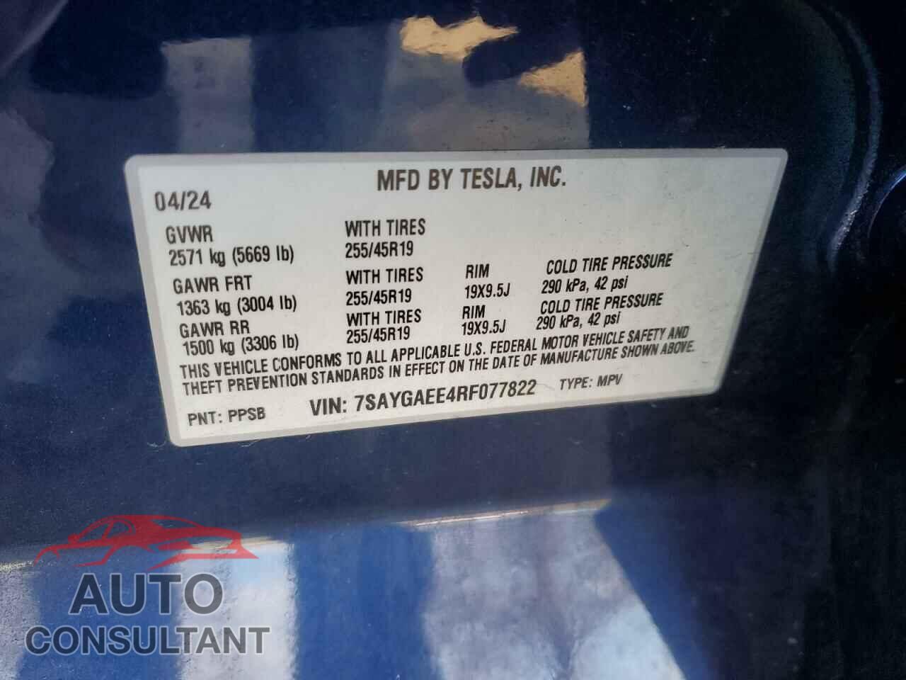 TESLA MODEL Y 2024 - 7SAYGAEE4RF077822