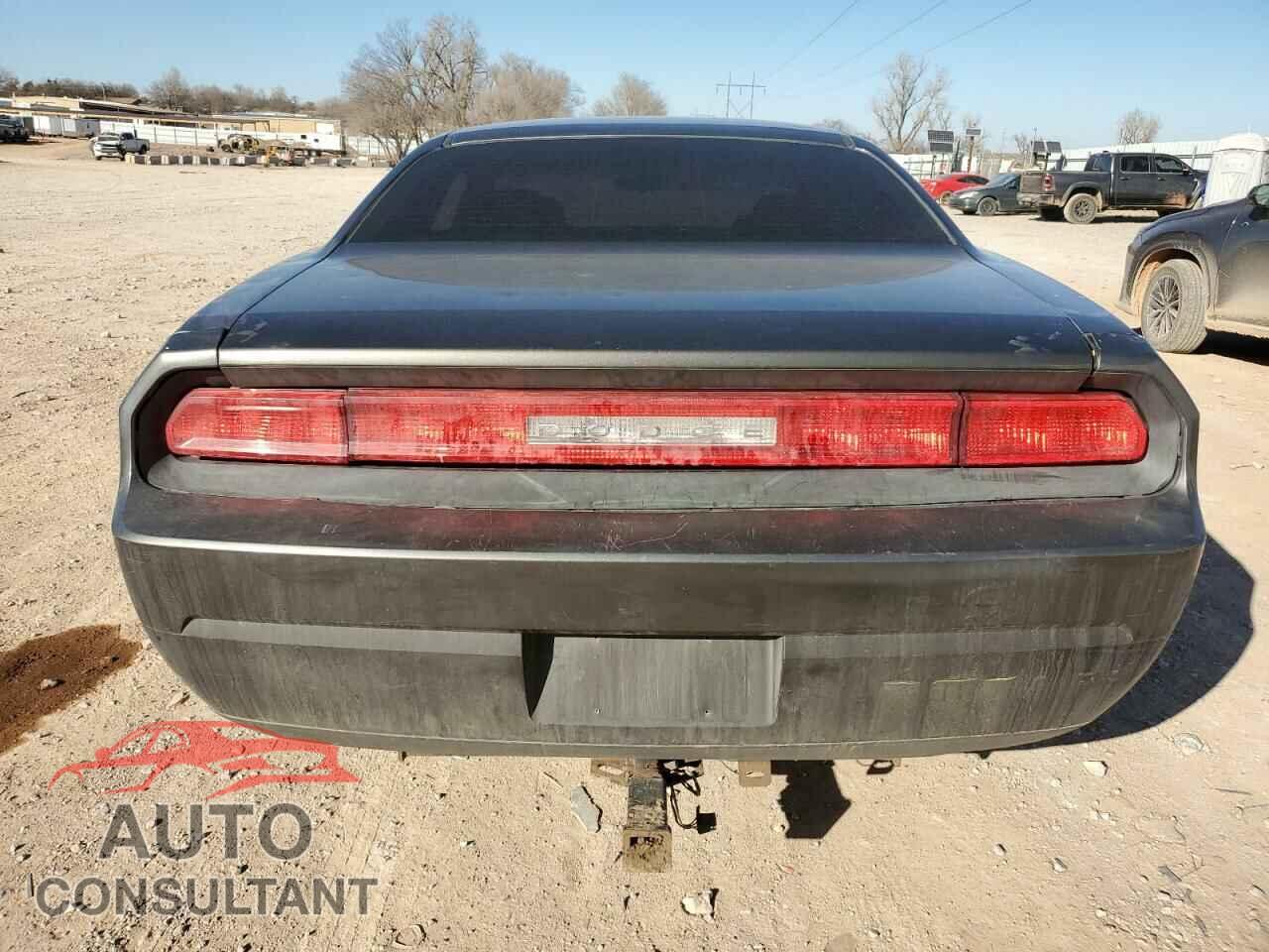 DODGE CHALLENGER 2010 - 2B3CJ4DV5AH166651