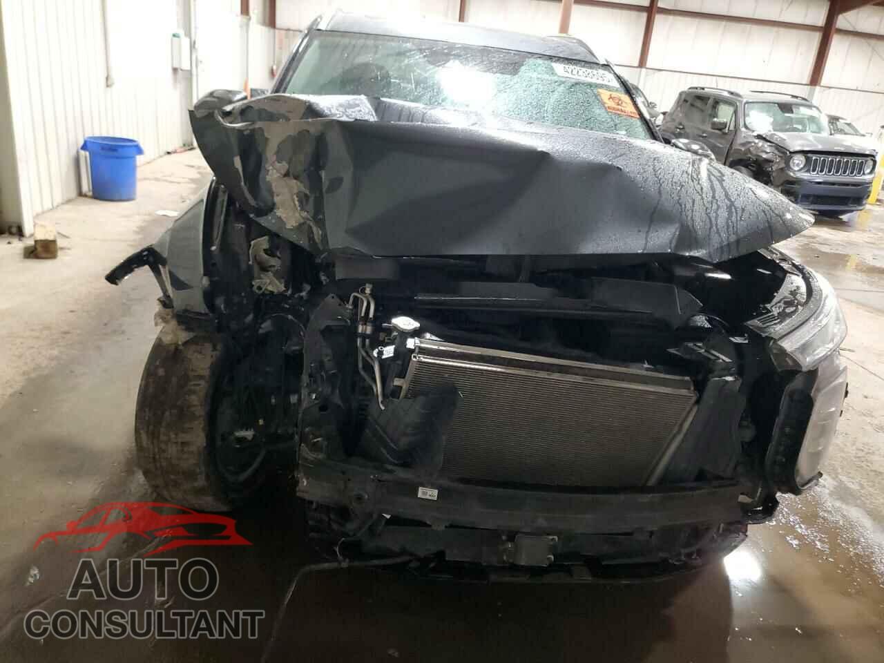 HYUNDAI PALISADE 2020 - KM8R3DHE5LU150331