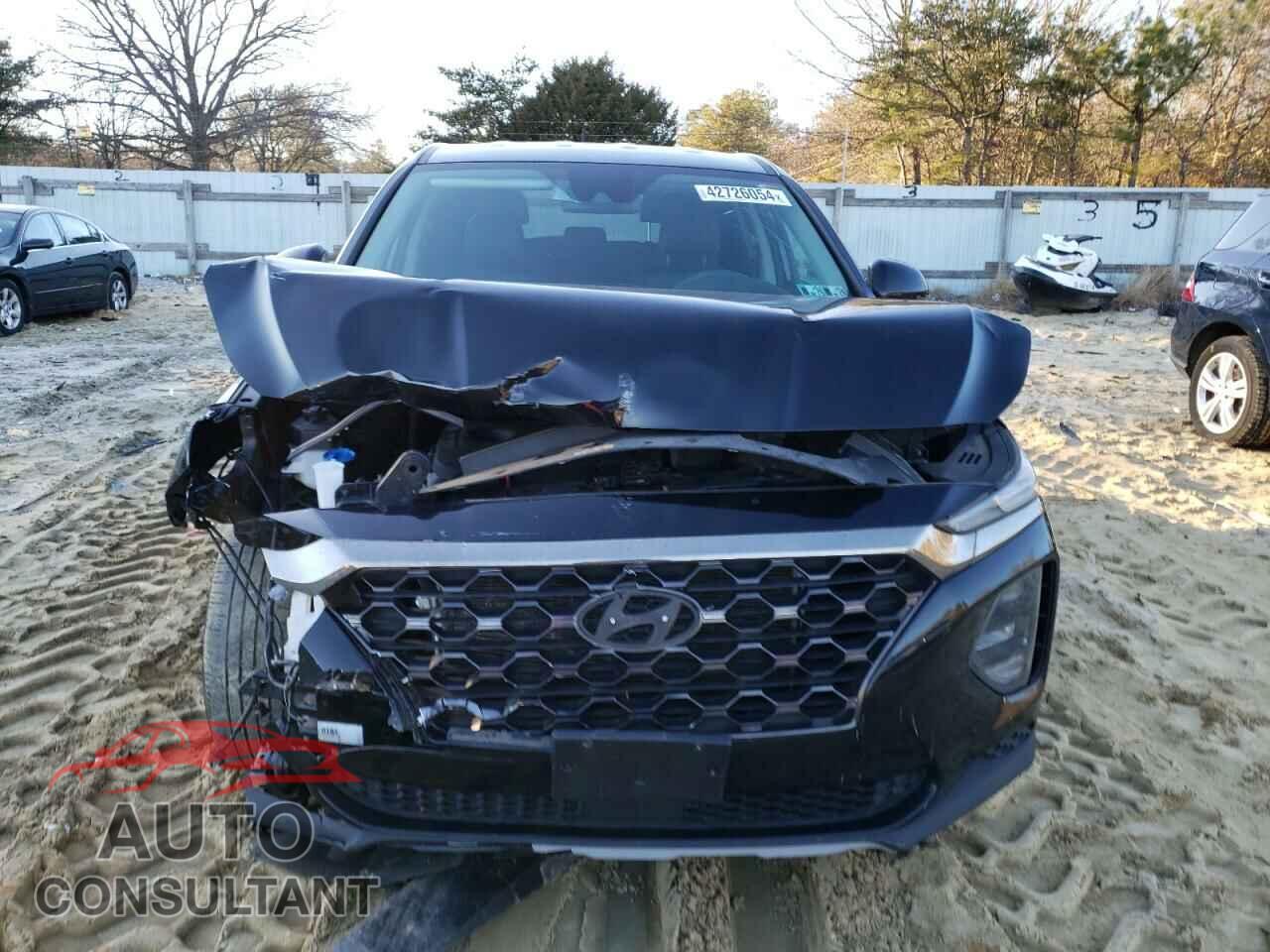 HYUNDAI SANTA FE 2019 - 5NMS2CAD3KH010417