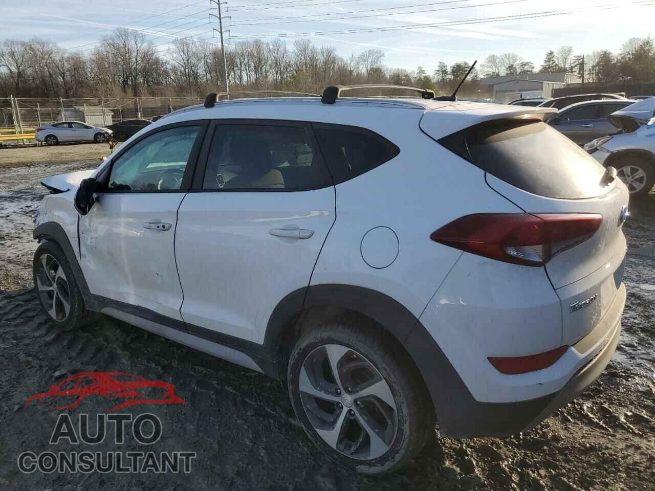 HYUNDAI TUCSON 2017 - KM8J33A2XHU481338