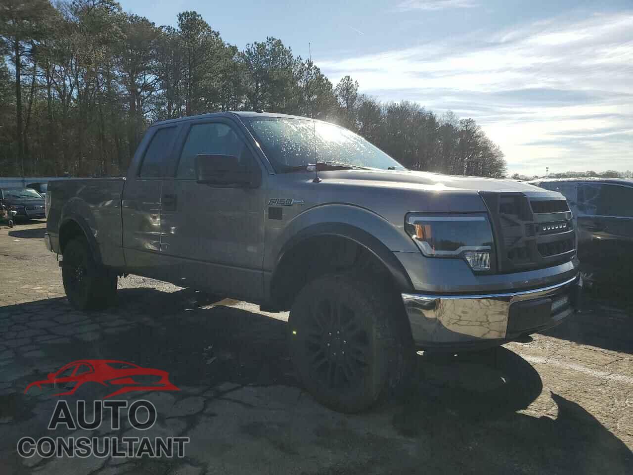 FORD F-150 2009 - 1FTRX14849FA96010