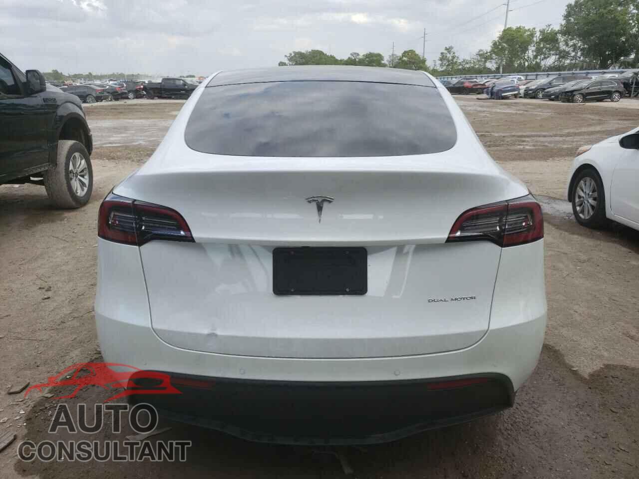 TESLA MODEL Y 2021 - 5YJYGDEE8MF187084