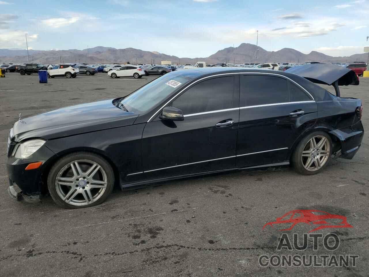 MERCEDES-BENZ E-CLASS 2010 - WDDHF5GB6AA139993