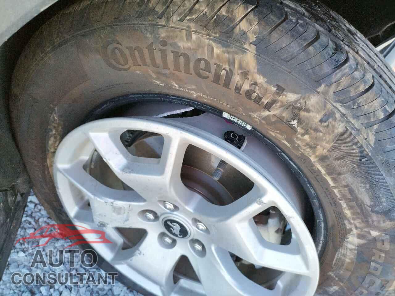 FORD BRONCO 2021 - 3FMCR9A66MRA16120