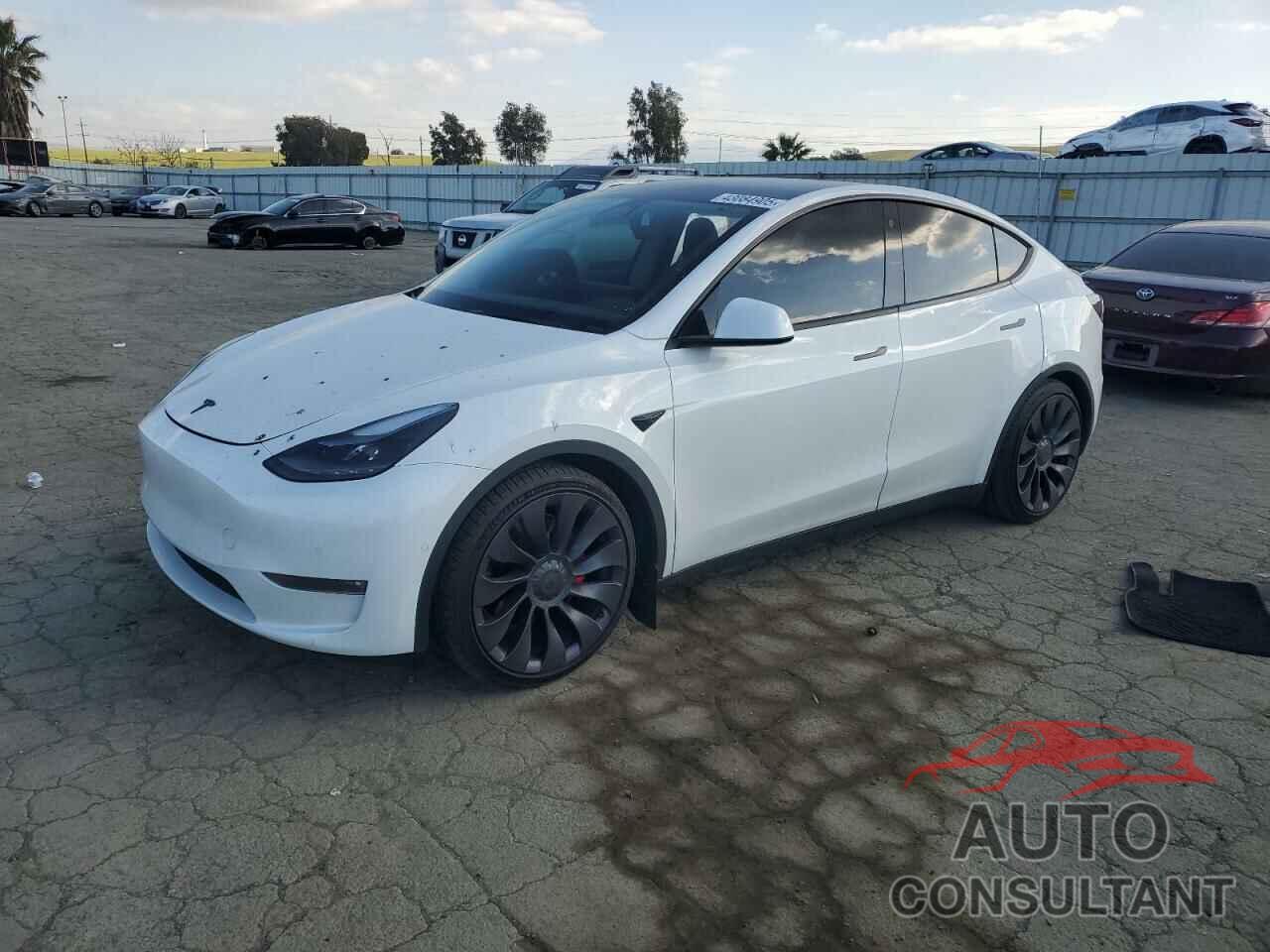 TESLA MODEL Y 2022 - 7SAYGDEF1NF342071