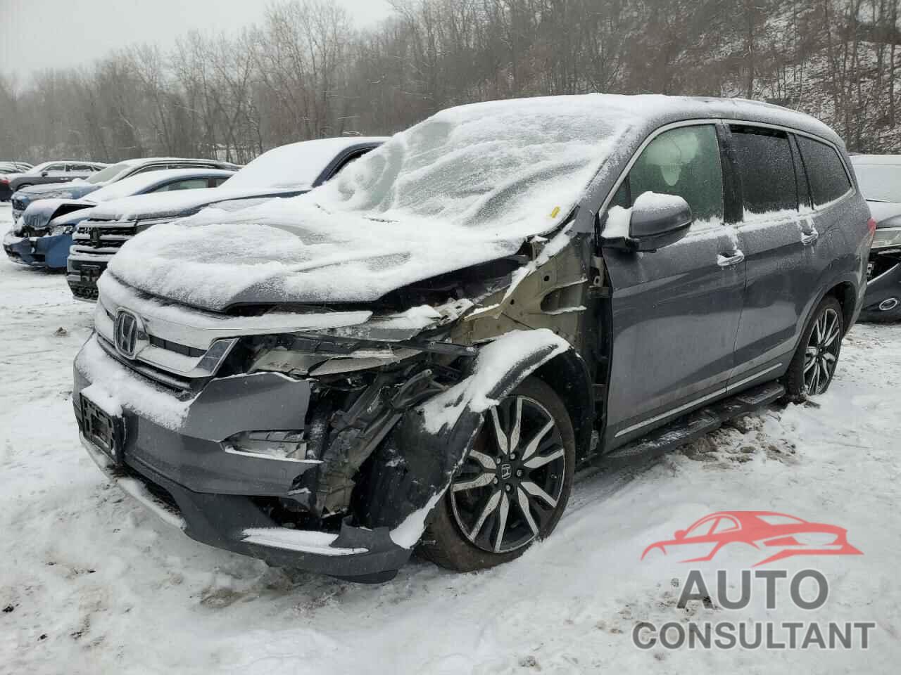 HONDA PILOT 2019 - 5FNYF6H92KB020391
