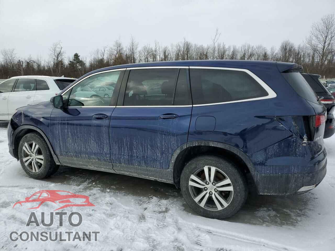 HONDA PILOT 2016 - 5FNYF6H54GB095923