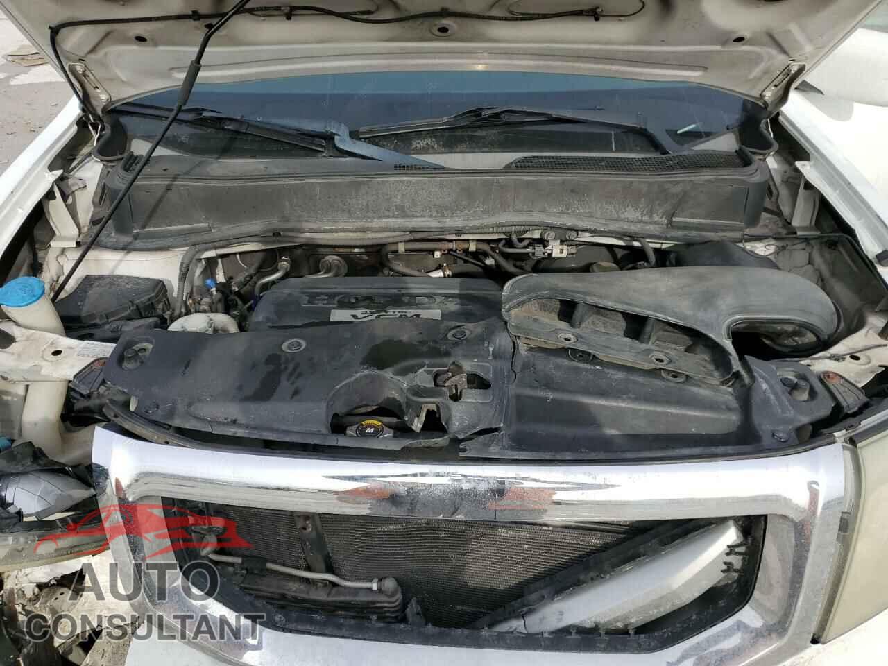 HONDA PILOT 2009 - 5FNYF48919B032420