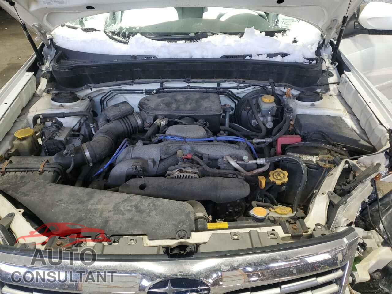 SUBARU FORESTER 2010 - JF2SH6DC2AH704066