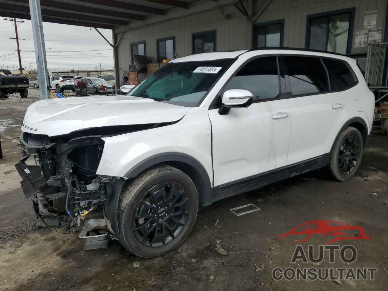 KIA TELLURIDE 2022 - 5XYP5DHC8NG256037