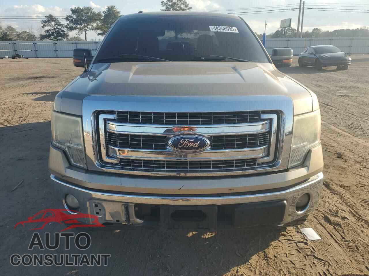 FORD F-150 2013 - 1FTFW1CF5DFD62259