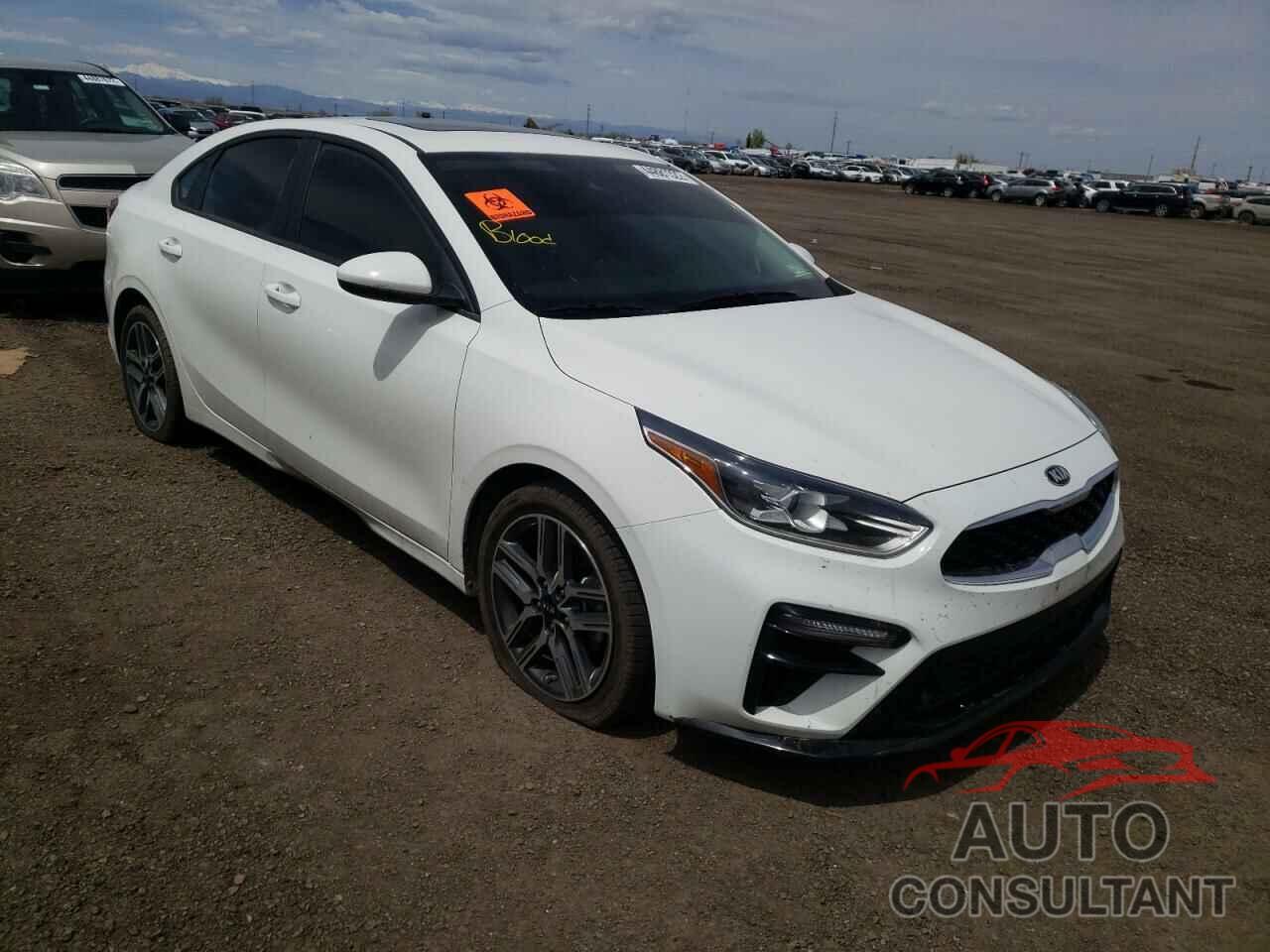 KIA FORTE 2019 - 3KPF34AD6KE018667