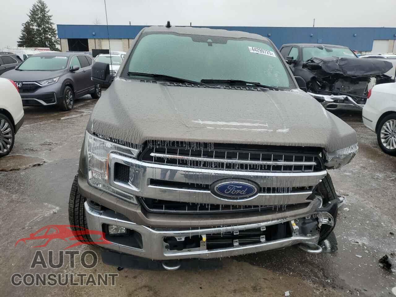 FORD F-150 2019 - 1FTEW1EPXKFC18642