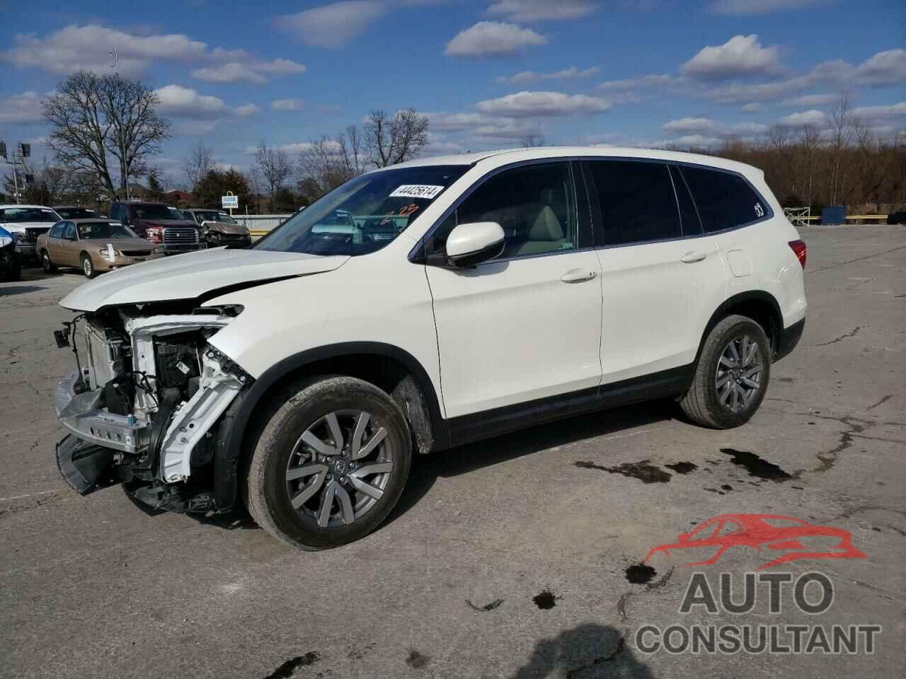 HONDA PILOT 2019 - 5FNYF6H55KB006434