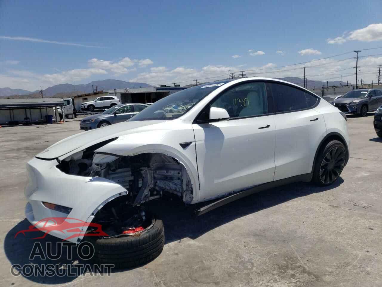 TESLA MODEL Y 2022 - 7SAYGDEF7NF341281