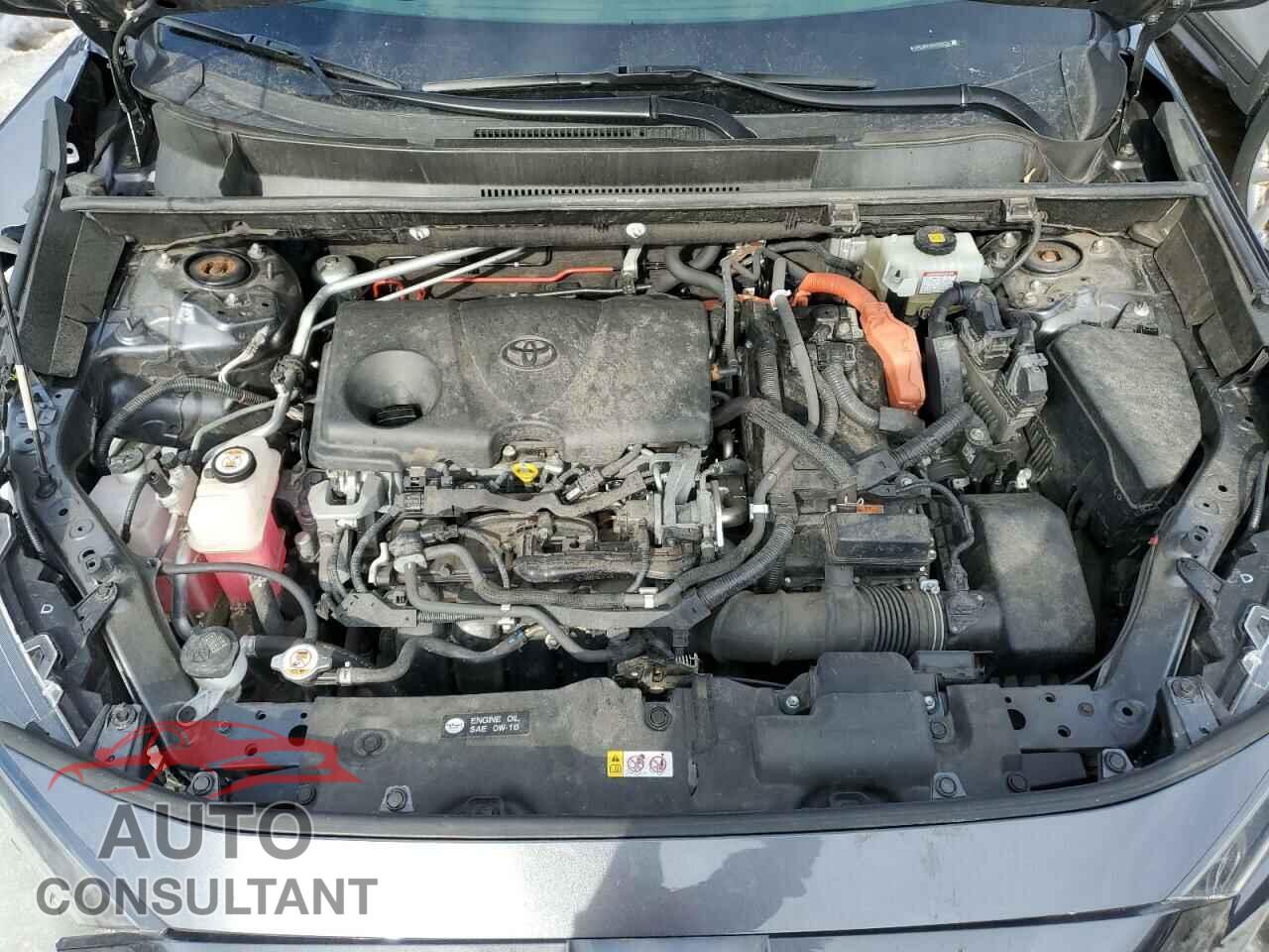 TOYOTA RAV4 2019 - JTMLWRFV5KD020016
