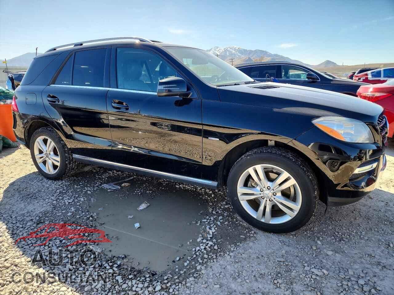 MERCEDES-BENZ M-CLASS 2012 - 4JGDA5HB5CA020885