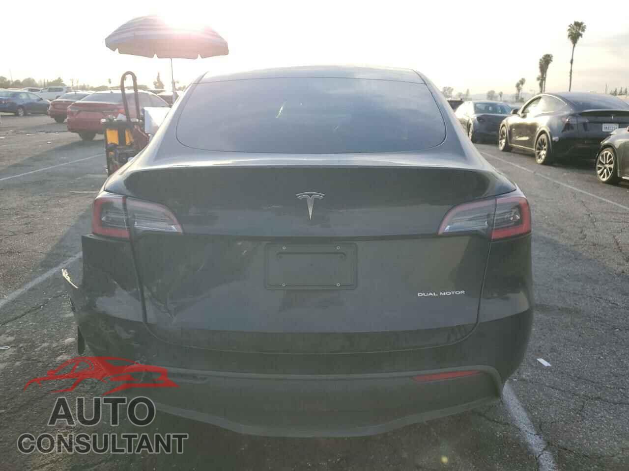 TESLA MODEL Y 2021 - 5YJYGDEE5MF067565