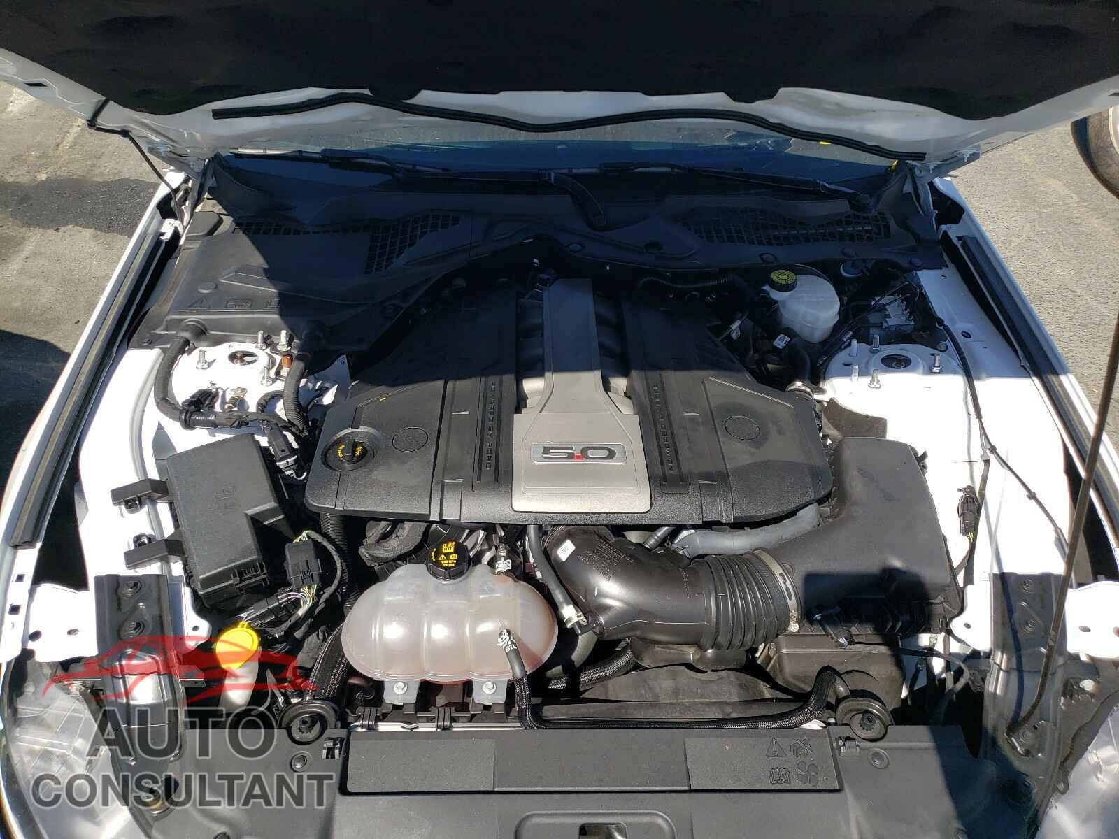 FORD MUSTANG 2019 - 1FA6P8CFXK5102423