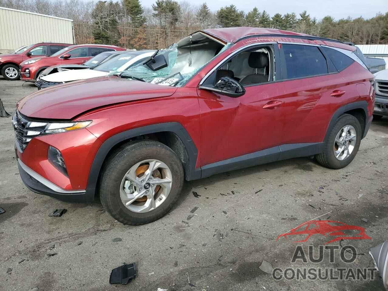HYUNDAI TUCSON 2024 - 5NMJBCDE3RH410732