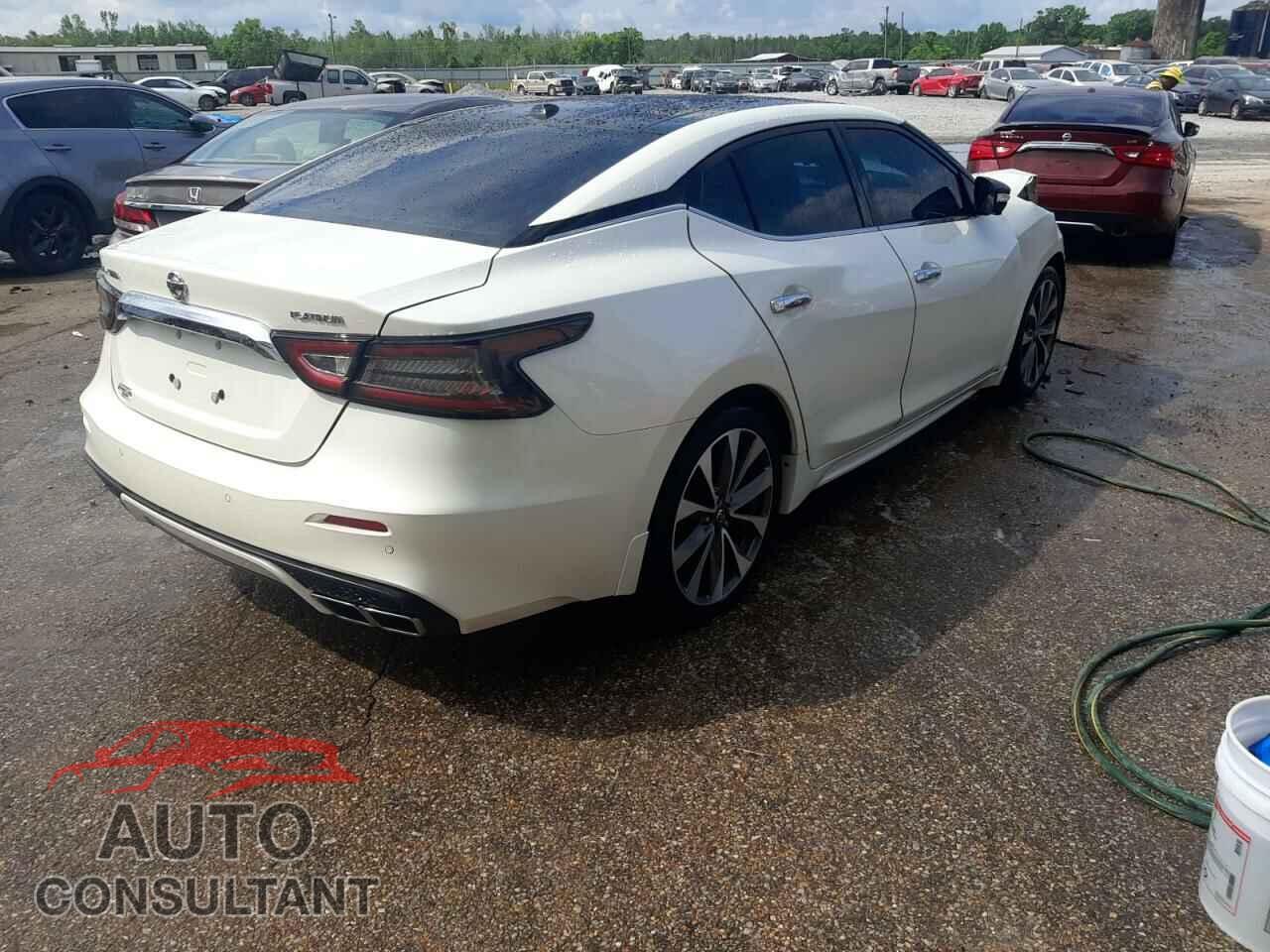 NISSAN MAXIMA 2019 - 1N4AA6AV5KC378398