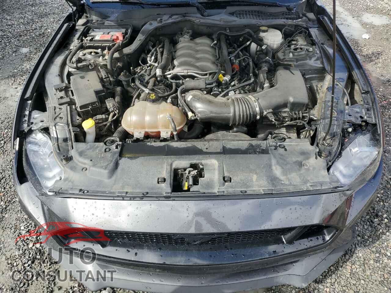 FORD MUSTANG 2019 - 1FA6P8CF2K5134945
