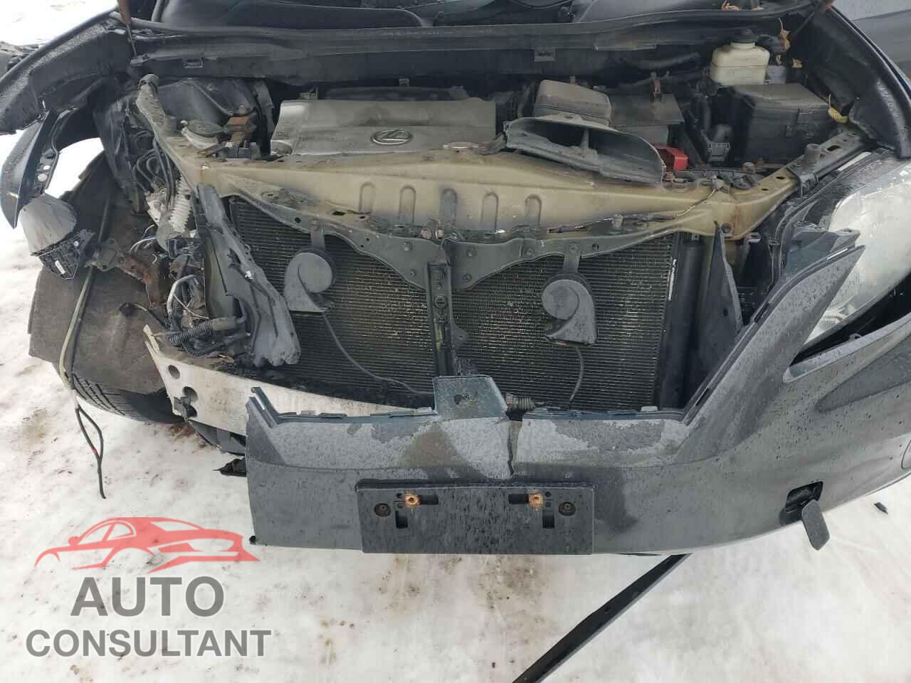 LEXUS RX350 2010 - 2T2BK1BA4AC033391