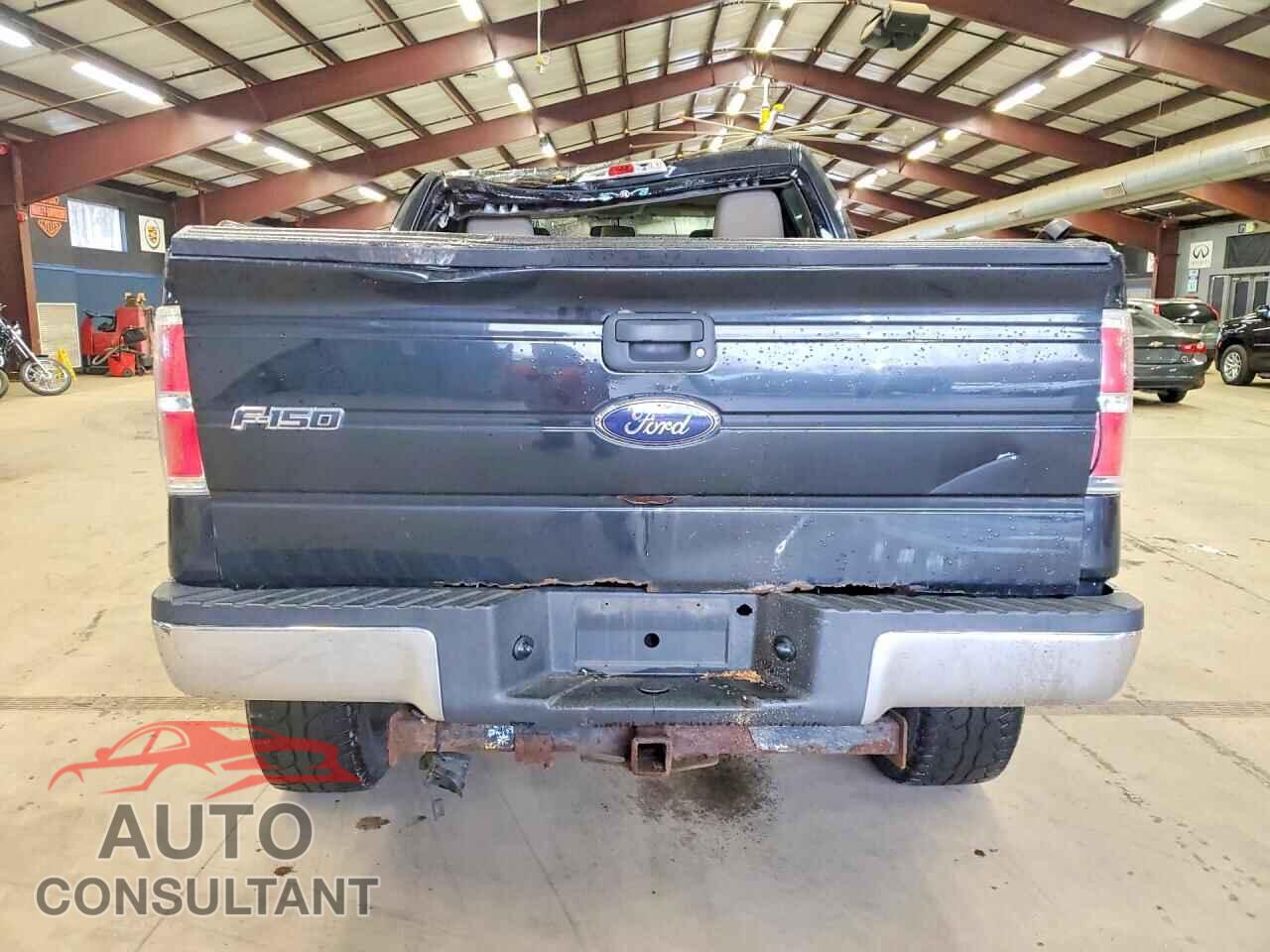 FORD F150 2010 - 1FTEW1E86AFA46391