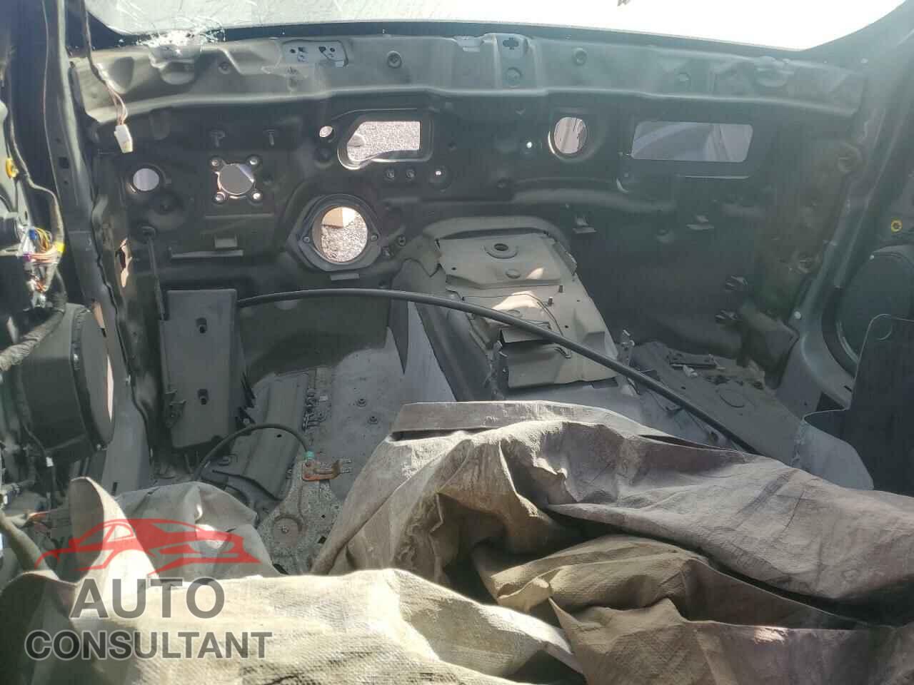 DODGE CHARGER 2019 - 2C3CDXGJ8KH625760