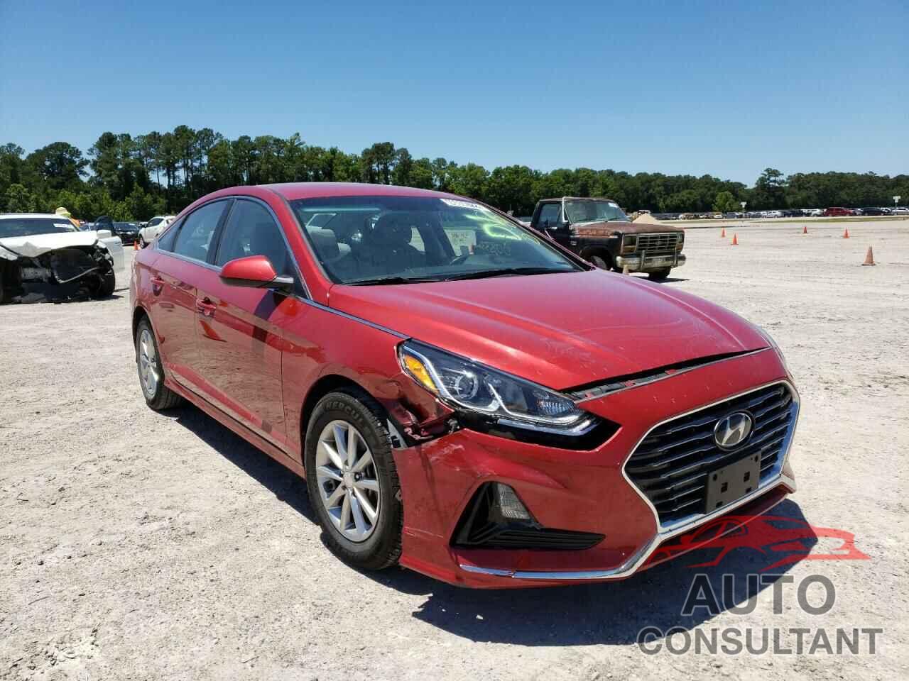 HYUNDAI SONATA 2019 - 5NPE24AF3KH799448